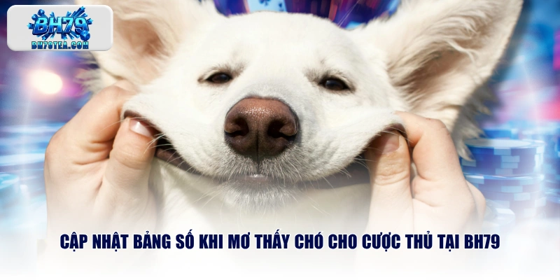 Cập nhật bảng số khi mơ thấy chó cho cược thủ tại BH79