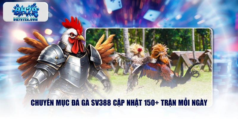 Chuyên mục Đá Gà SV388 cập nhật 150+ trận mỗi ngày