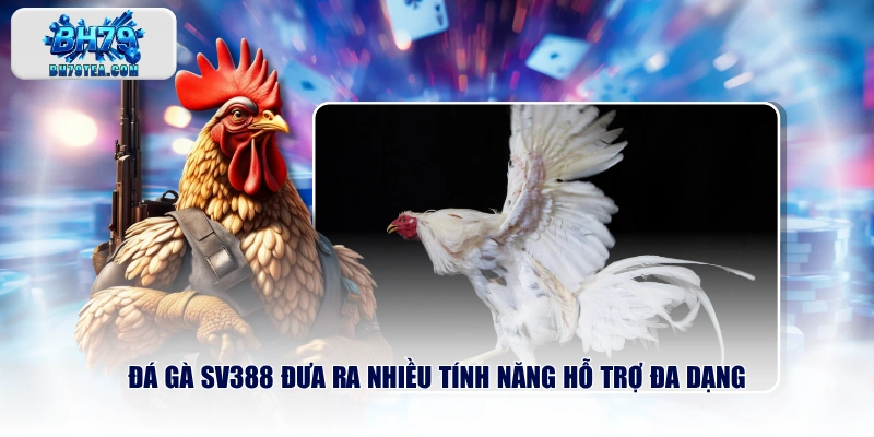 Đá Gà SV388 đưa ra nhiều tính năng hỗ trợ đa dạng