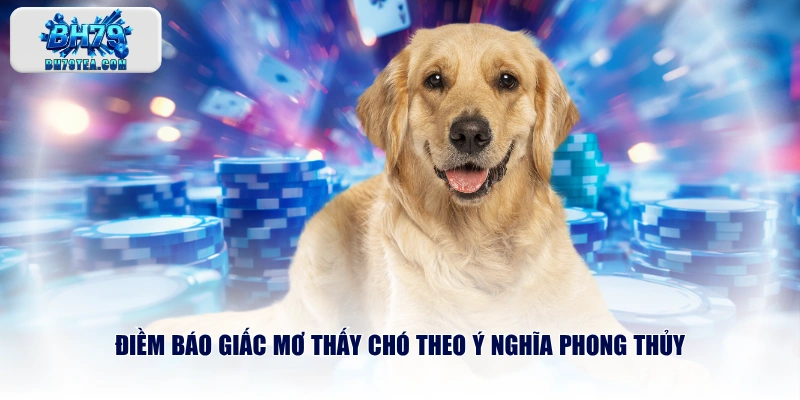 Điềm báo giấc mơ thấy chó theo ý nghĩa phong thủy