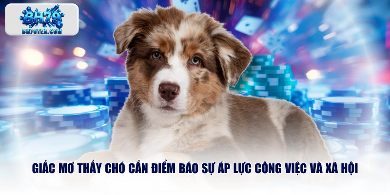 Giấc mơ thấy chó cắn điểm báo sự áp lực công việc và xã hội