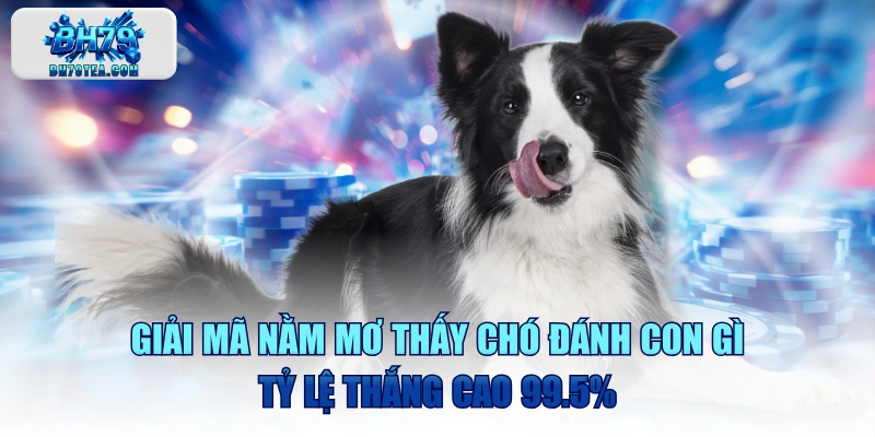 Giải Mã Nằm Mơ Thấy Chó Đánh Con Gì Tỷ Lệ Thắng Cao 99.5%