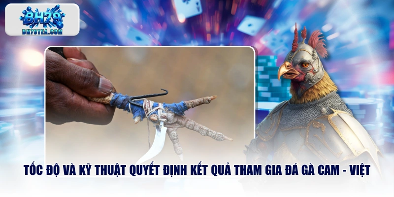 Tốc độ và kỹ thuật quyết định kết quả tham gia đá gà Cam - Việt